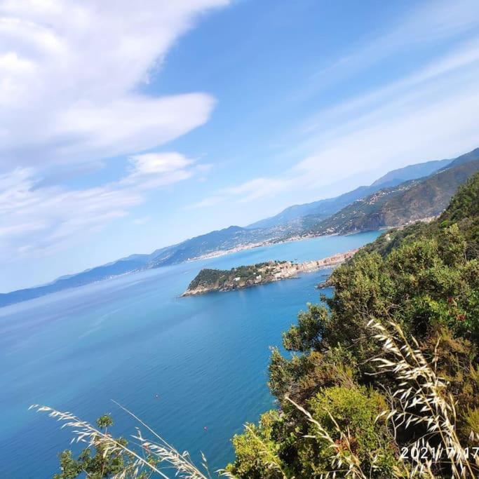 A Casa Di Mary Daire Riva Trigoso Dış mekan fotoğraf